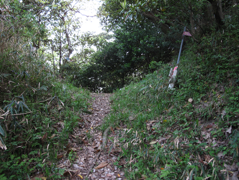20140426hike (373)